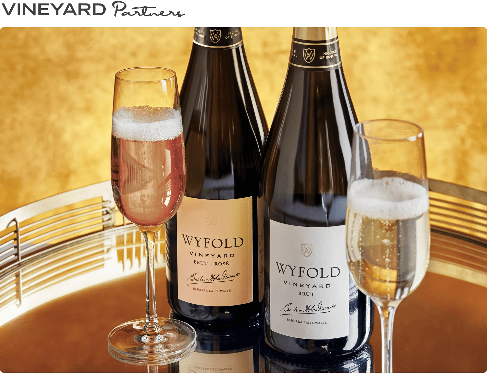 Vineyard Partners - Wyfold - Intro section top image