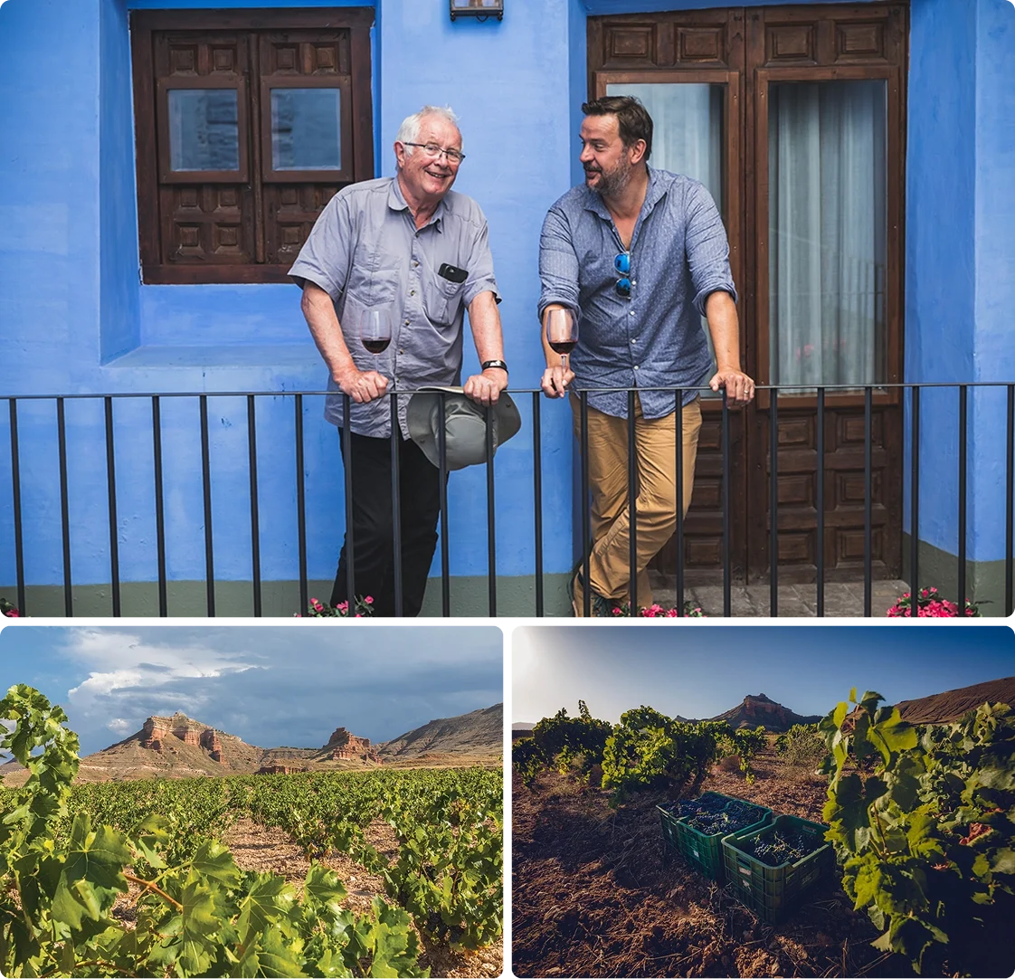 Vineyard Partners - Suenos - Intro section grid image