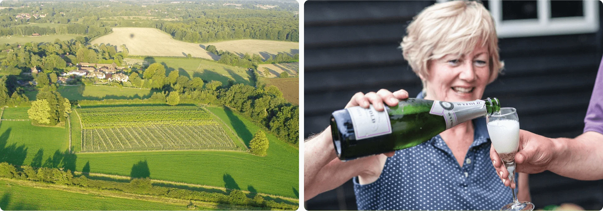 Vineyard Partners - Wyfold - Intro section bottom image