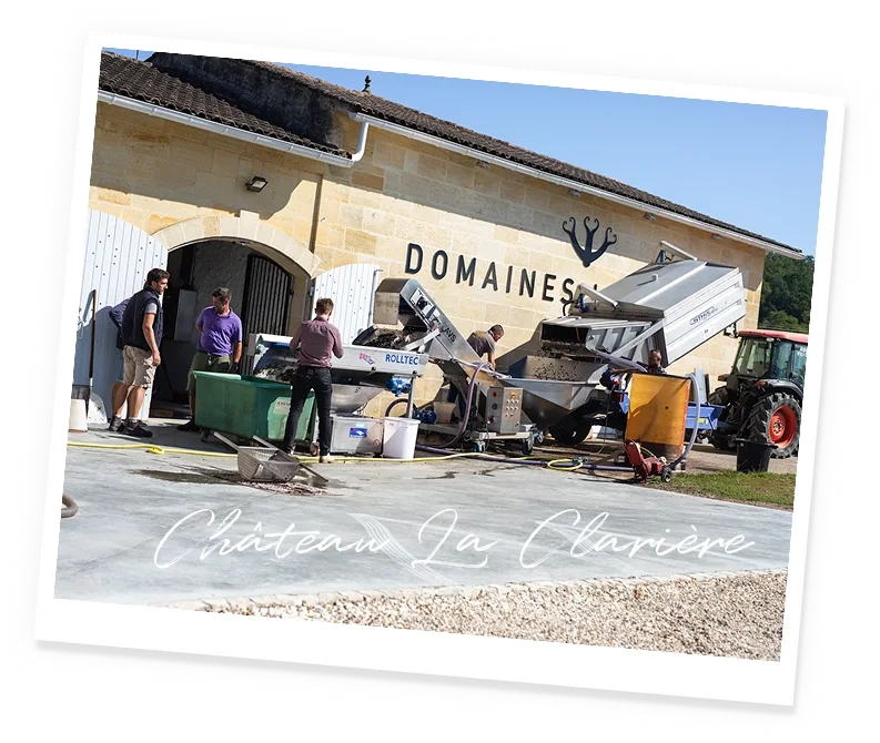 Vineyard Partners - Clariere Blanc News - intro image