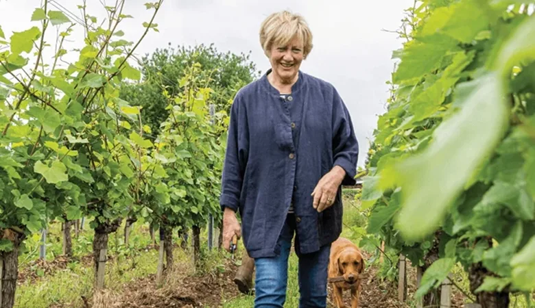 Vineyard Partners - Wyfold Sparkling Card image