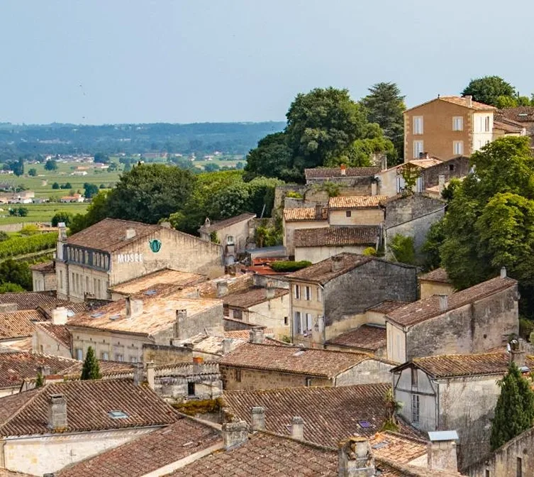 Vineyard Partners - Members Area - Bordeaux tour image