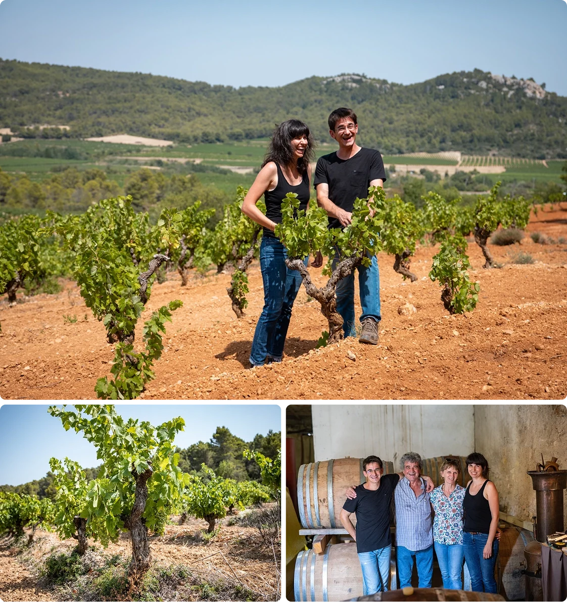 Vineyard Partners - Montjustin - Intro section grid image