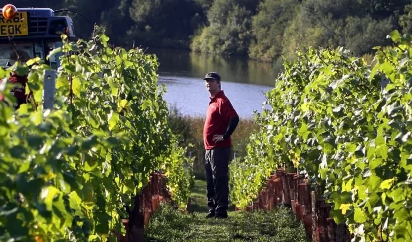 Windsor Great Park card image