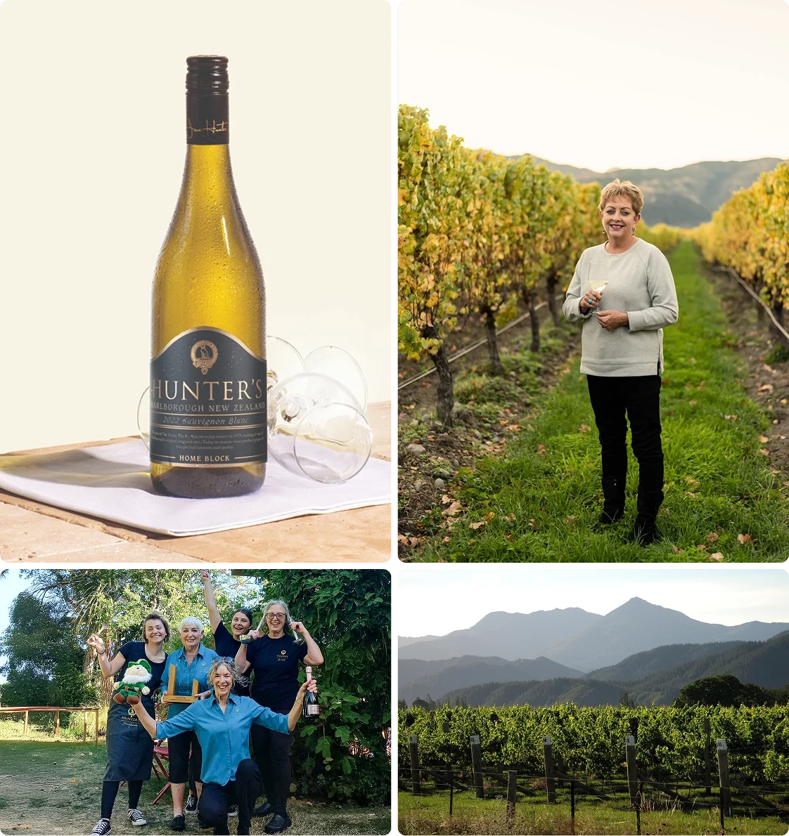 Vineyard Partners - Hunters - Intro section grid image