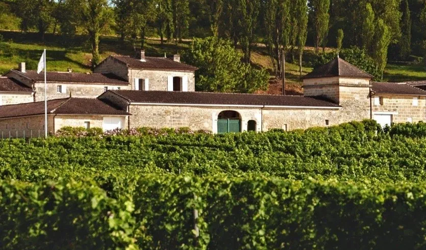 Vineyard Partners - News - Article Clariere image