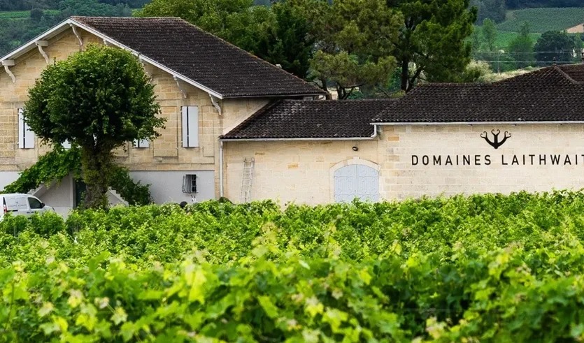 Vineyard Partners - News -Article Clarerie blanc image