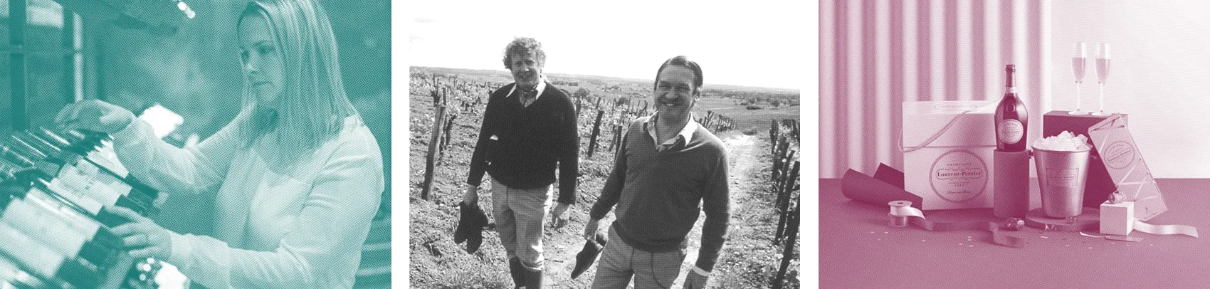 Tony and Will walking through a vineyard 