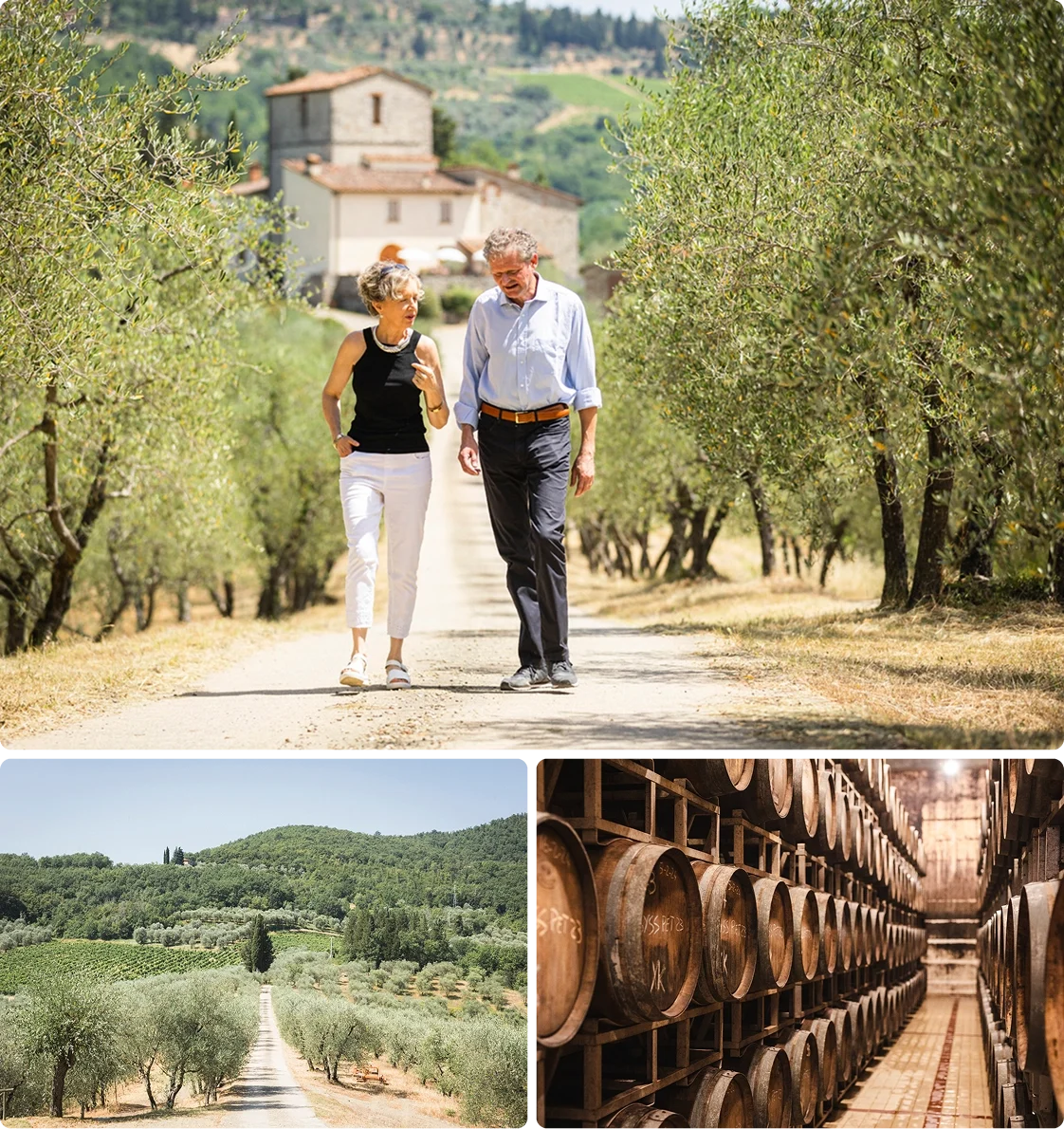 Vineyard Partners - Il Corto - Intro section grid image 