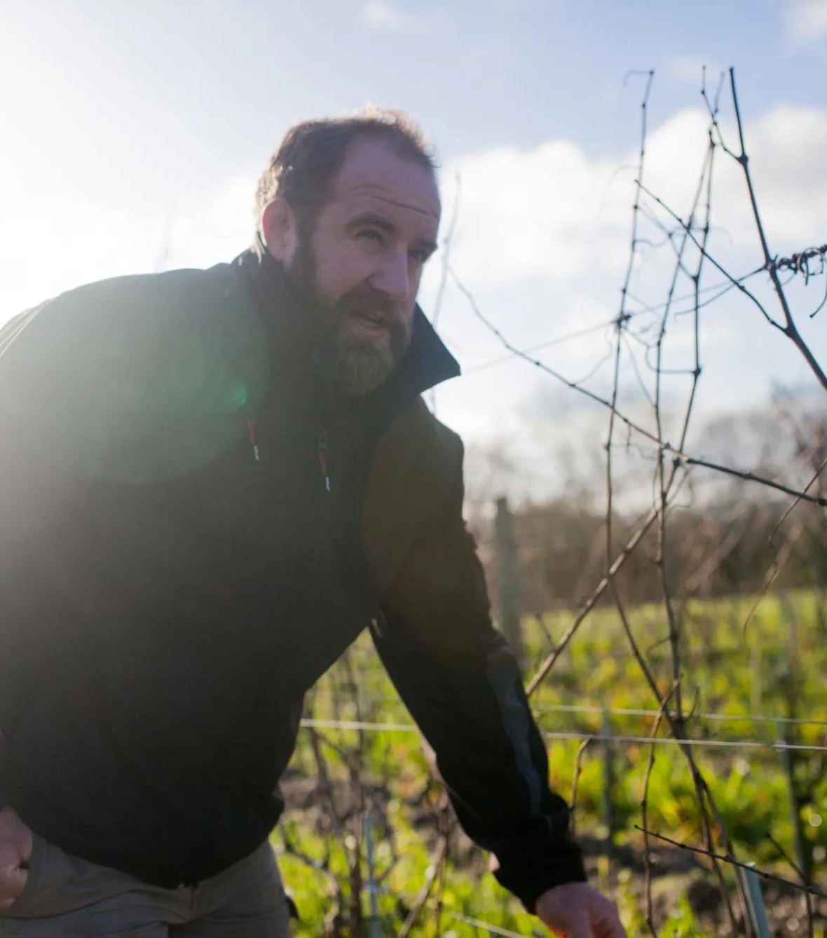 Thibaud Boudignon, the saviour of Savennières