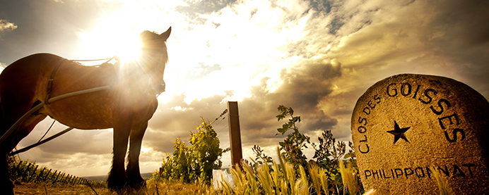A stone that engraves Philipponnat Clos des Goisses with a sun beaming down the horse