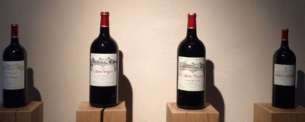 Bottles of wine on blocks