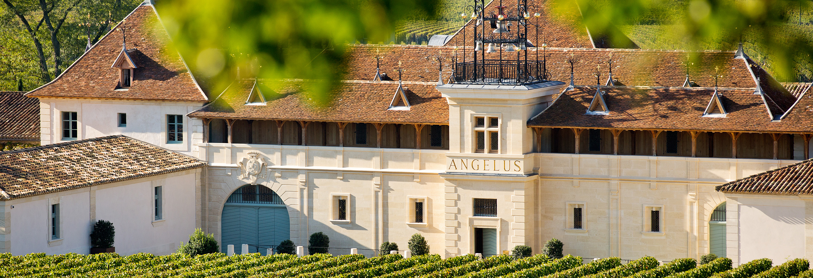 Château Talbot and Château Angelus