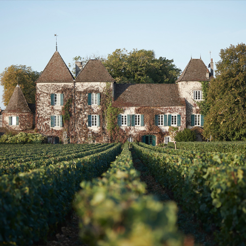 A building covered in ivy, viewed from the vineyard, Domaine de la Commaraine