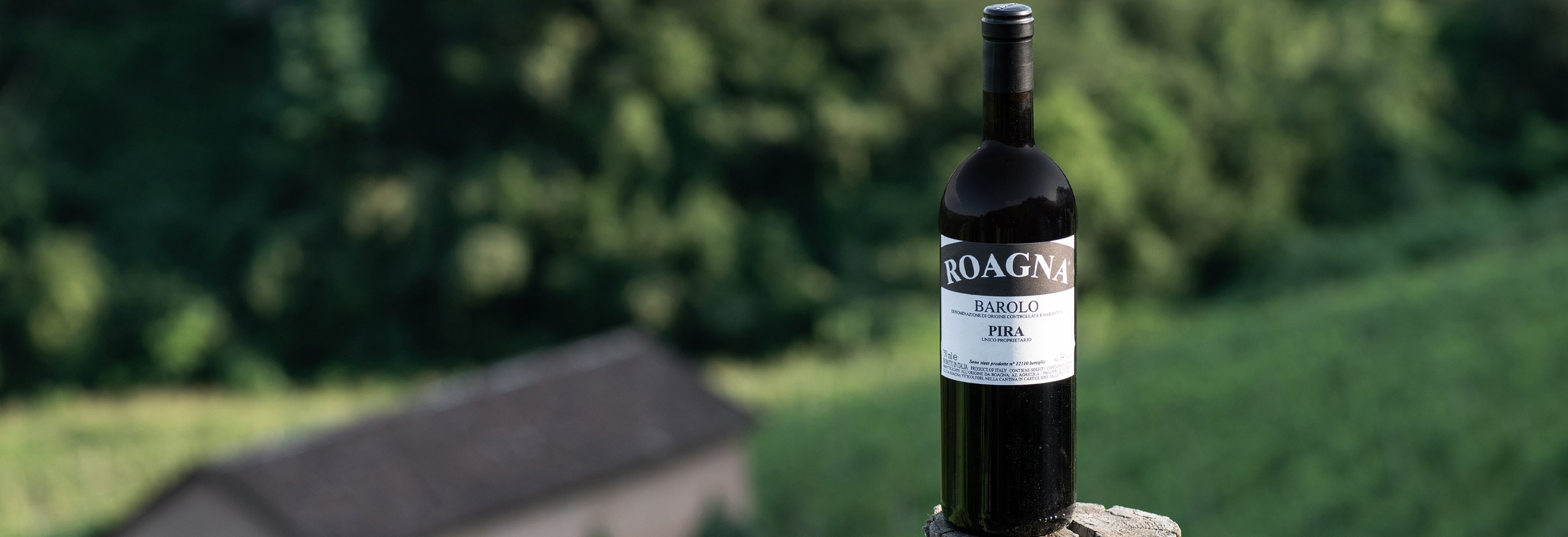 Bottle on a post in a field