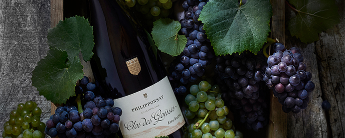 Philipponnat’s Clos des Goisses on a box full of red grapes