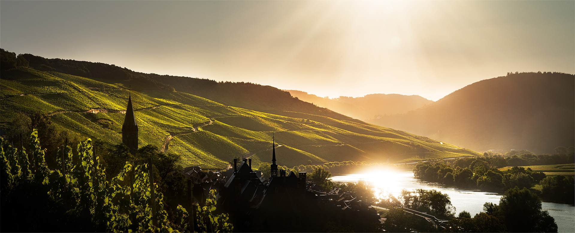 Birds eye view of a Piedmont vineyard