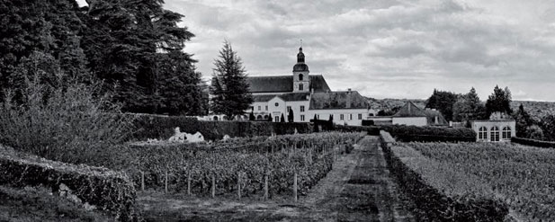 Field with house, black and white