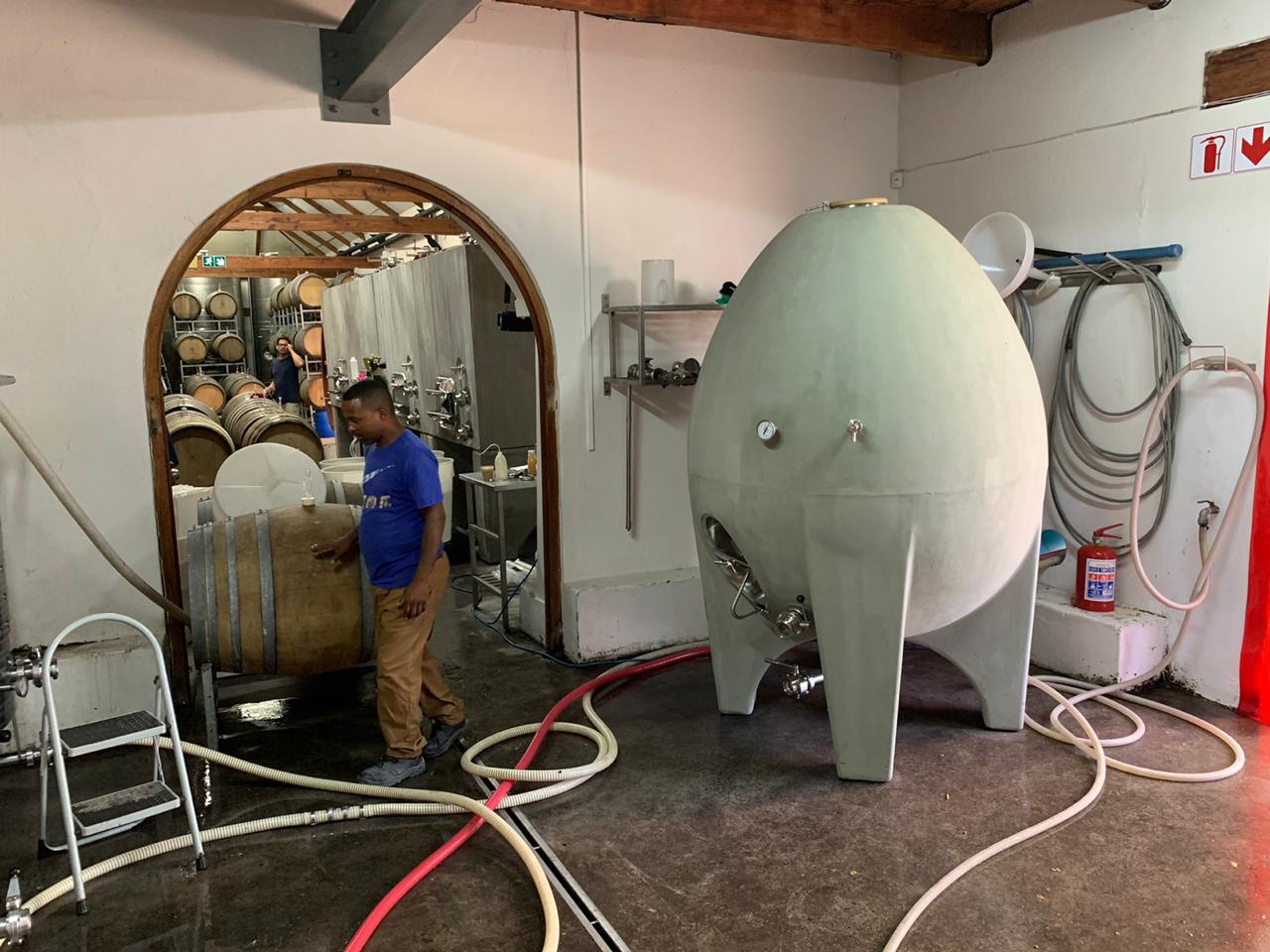 Man and large concrete egg