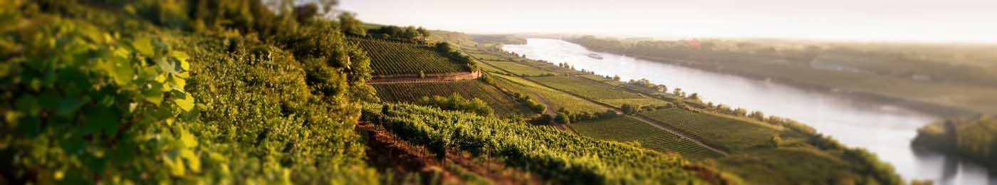 Landscape with a river