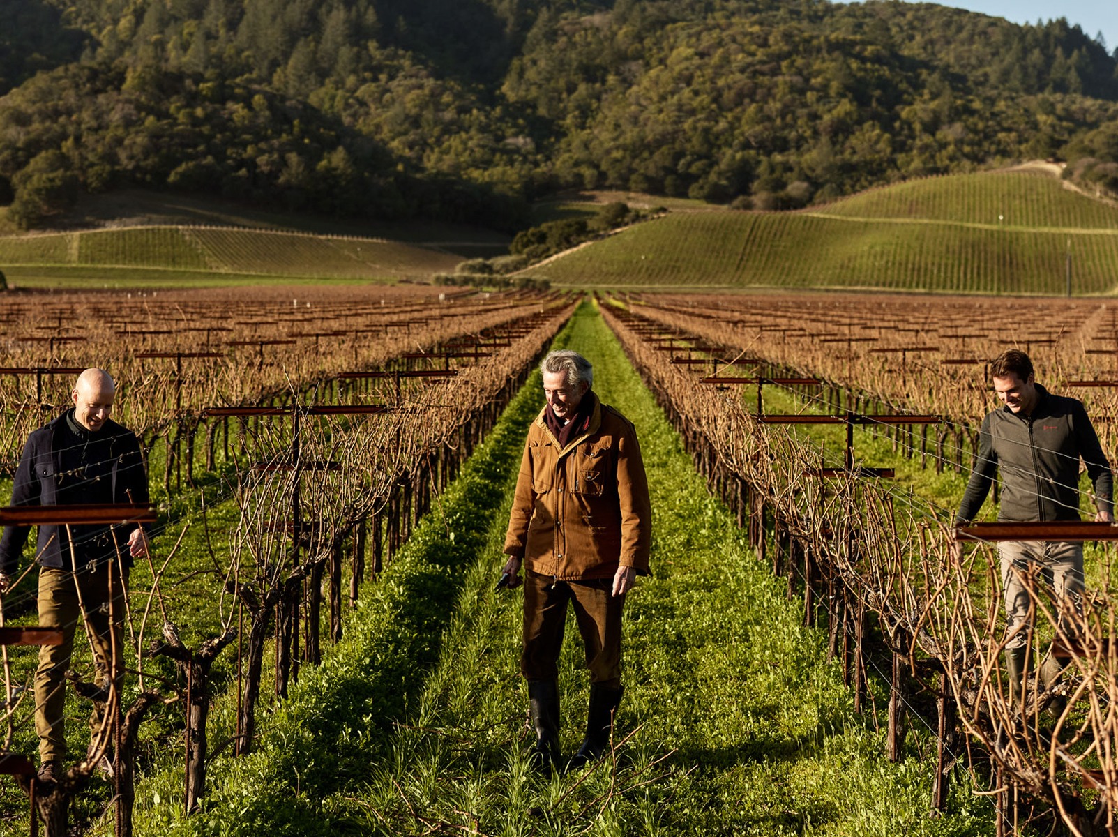 Dominus Estate 2023 Releases