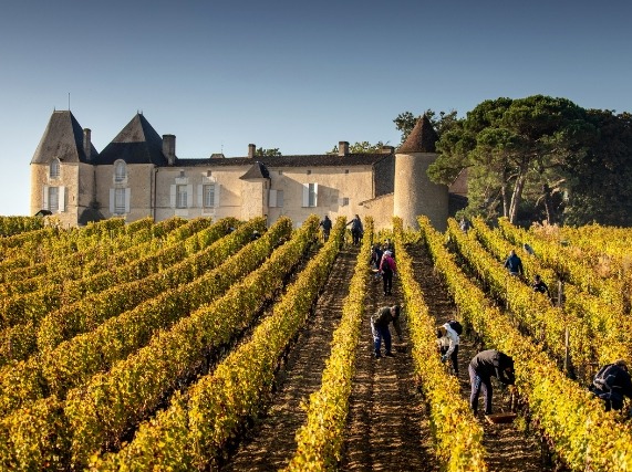 Ch. Yquem 2023 Release