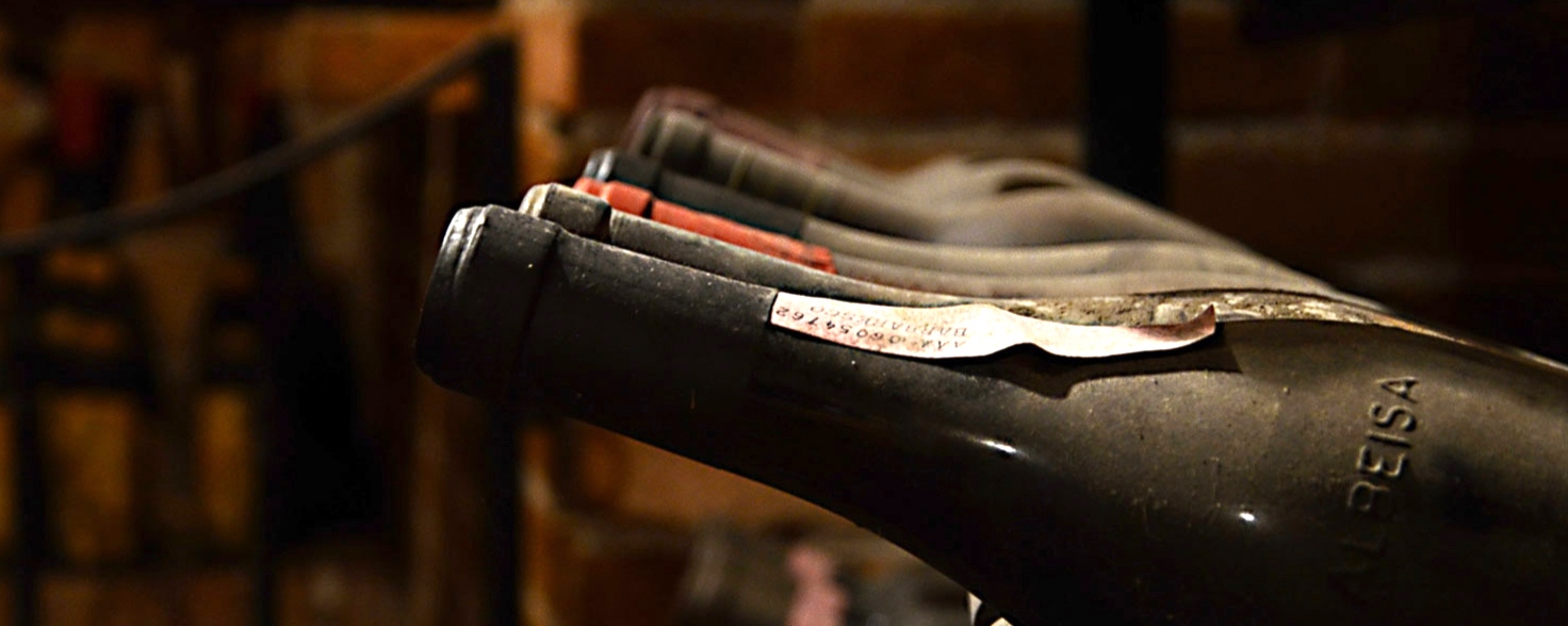 close up of wine bottles in a cellar