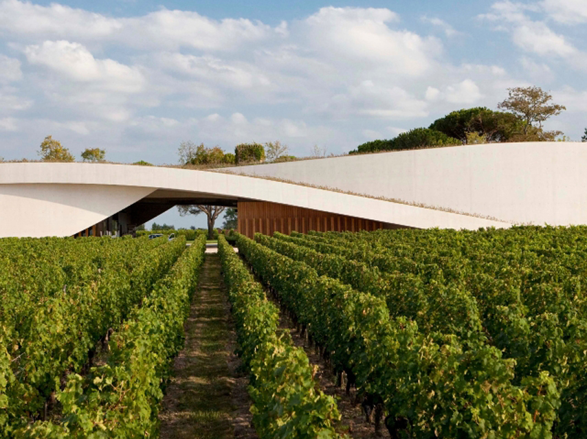 Modern sloping building with grass roof, St Emilion