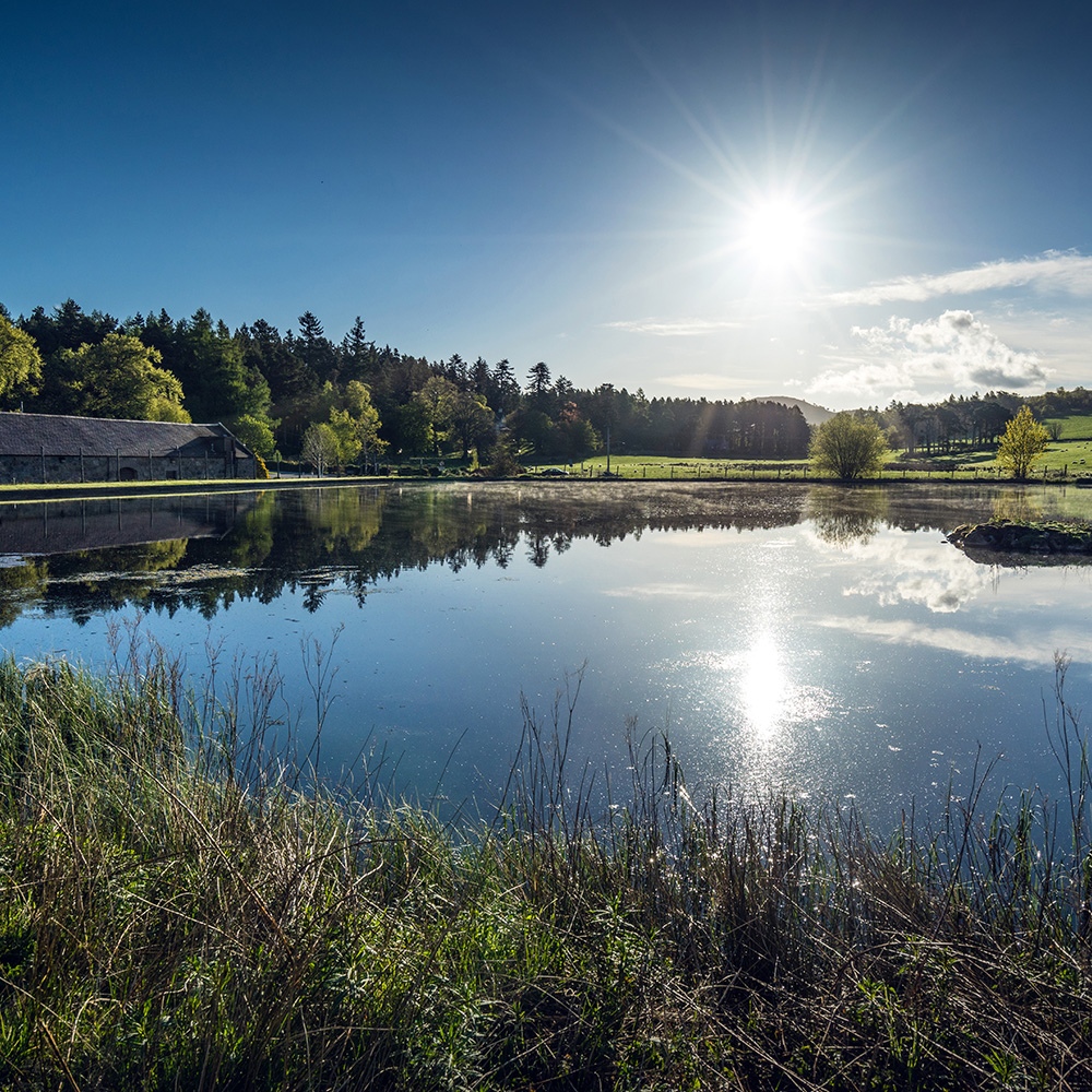 A distillery lakeside over a sun rise