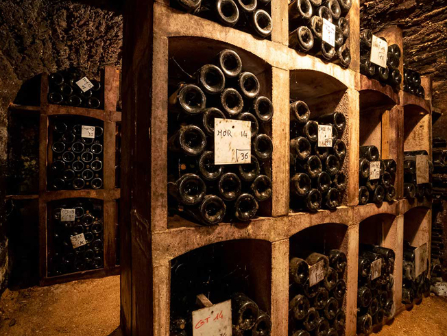 cellar