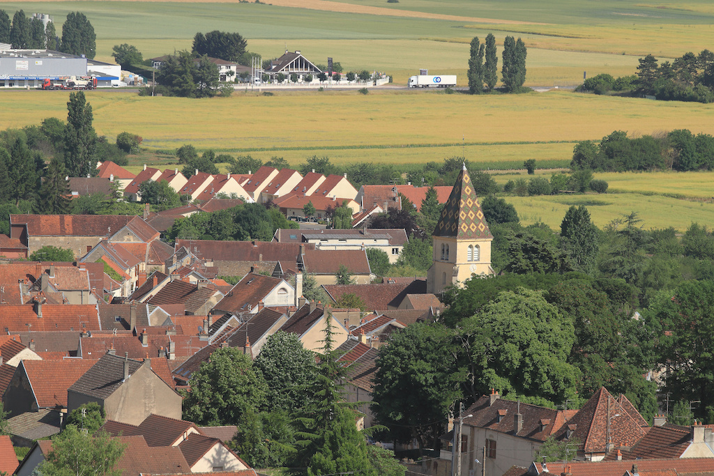 Green fields in french village of marsannay