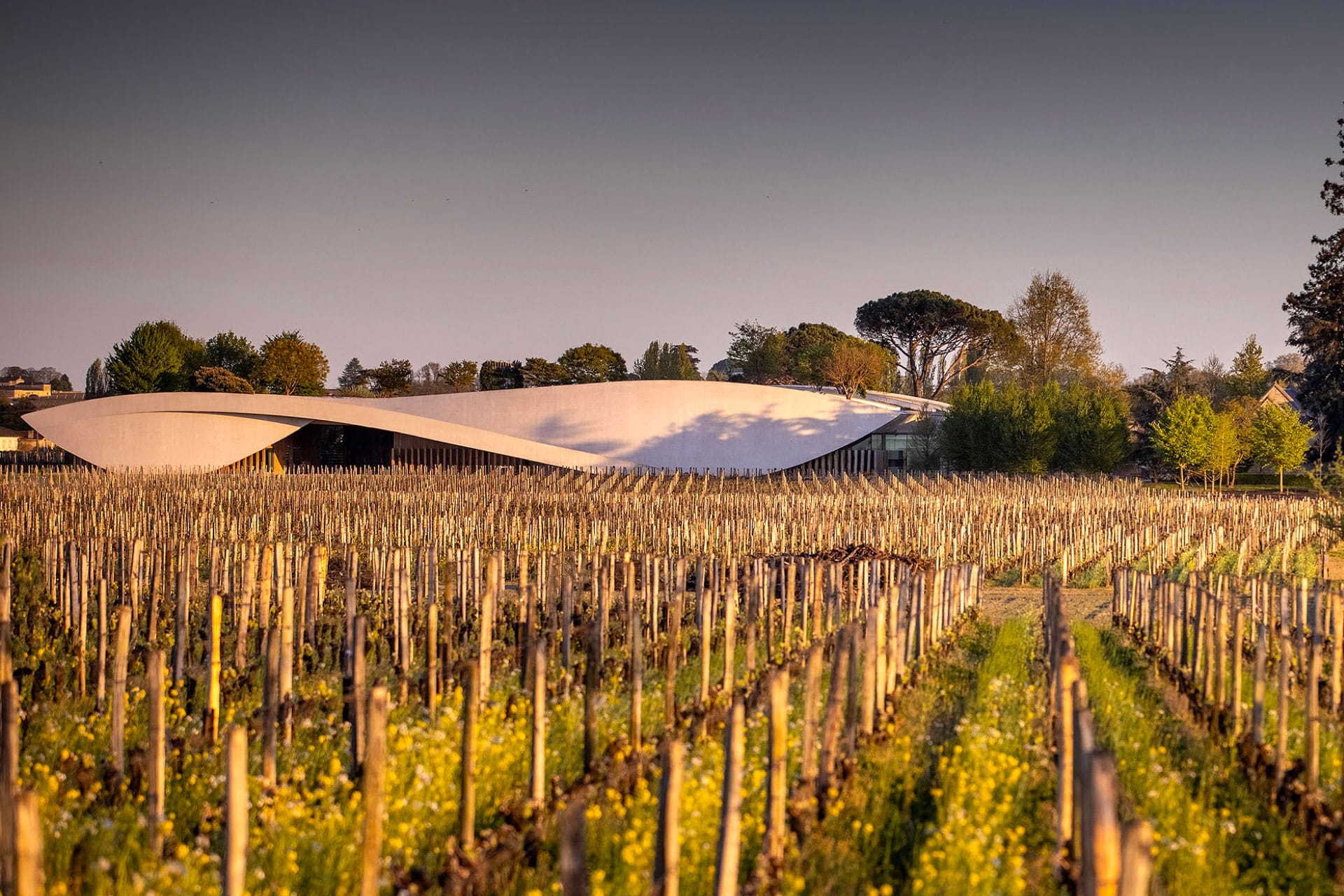 Cheval Blanc