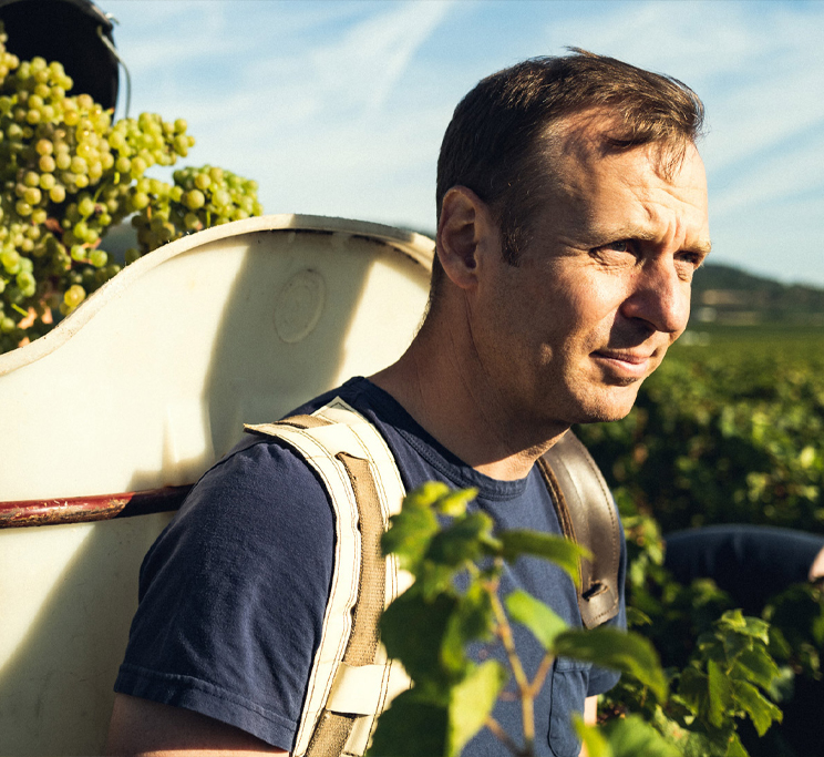 A man in Génot Boulanger vineyard