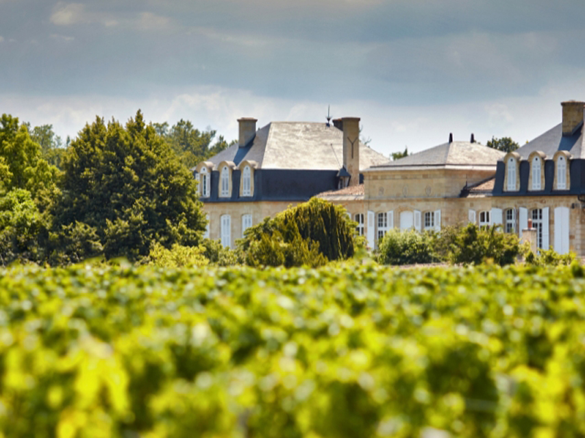 The rooftops of St Julien and its gardens