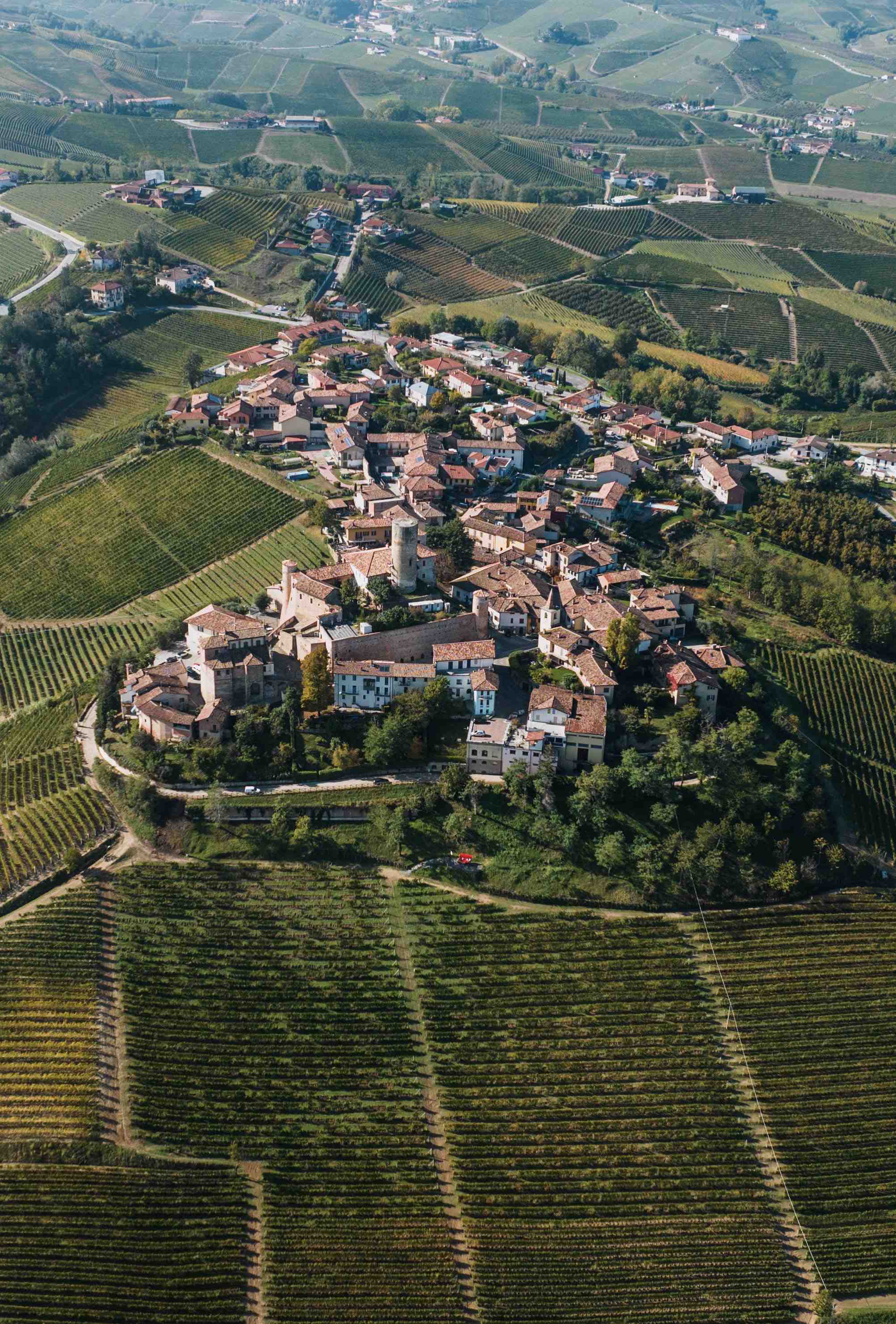 Village in Italy with vineyards surrounding