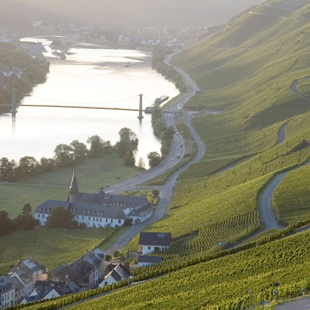 Selection of wine casks