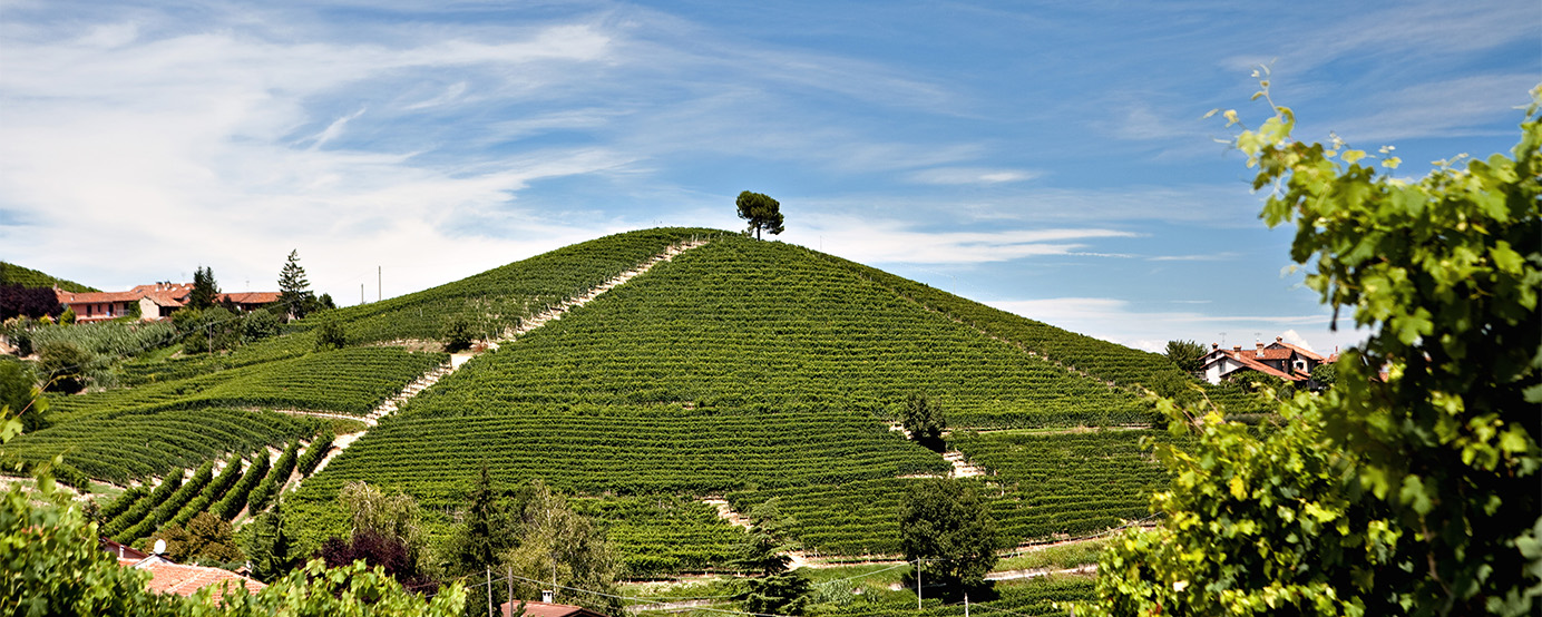 A hill on top in the Verduno region