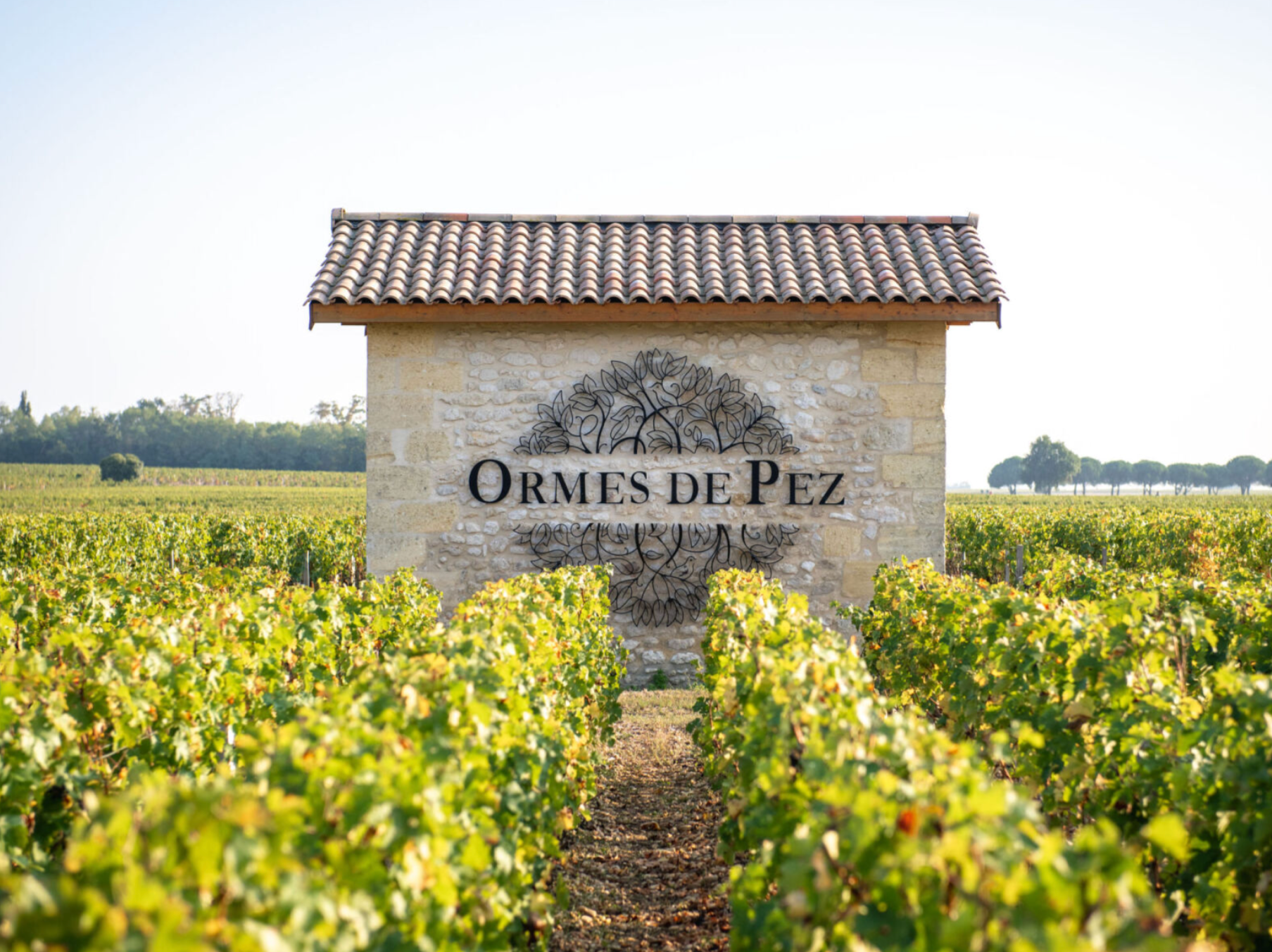 Ormes