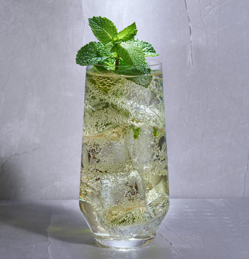 J&B Julep