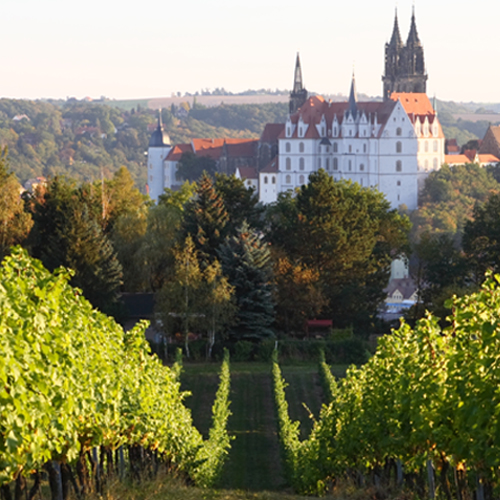 Vineyard with a large building in the Austria & Belgium region