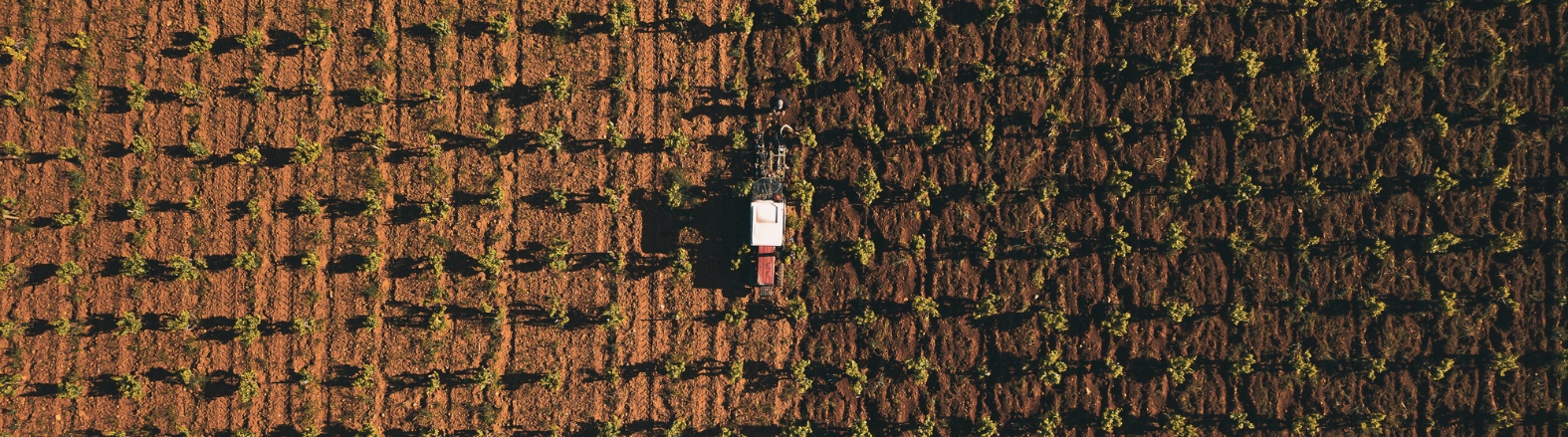 Field and machinery