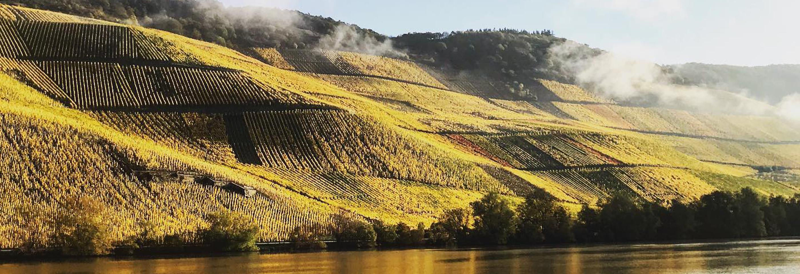 Vineyards of Germany
