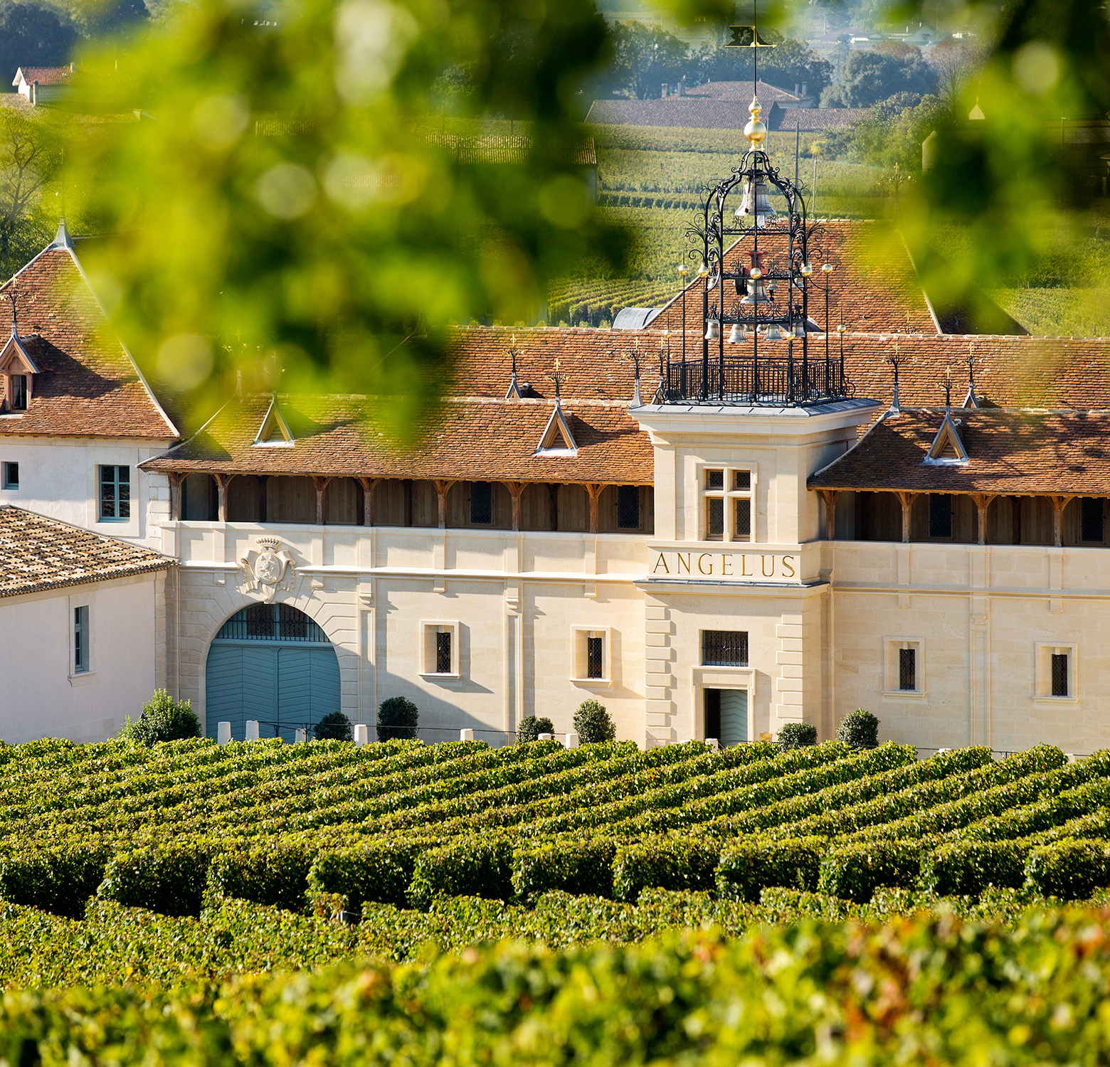 Château Talbot and Château Angelus