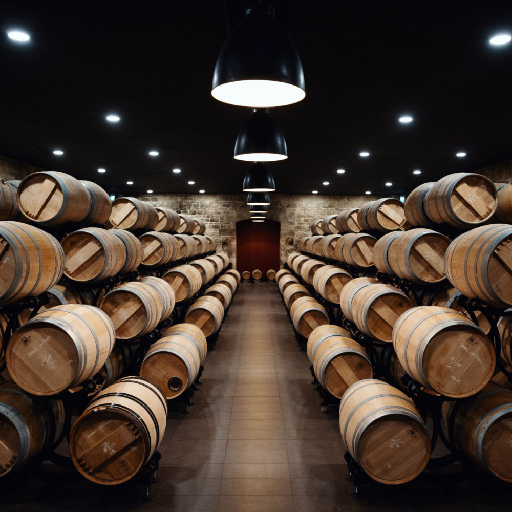 Room of wine barrels