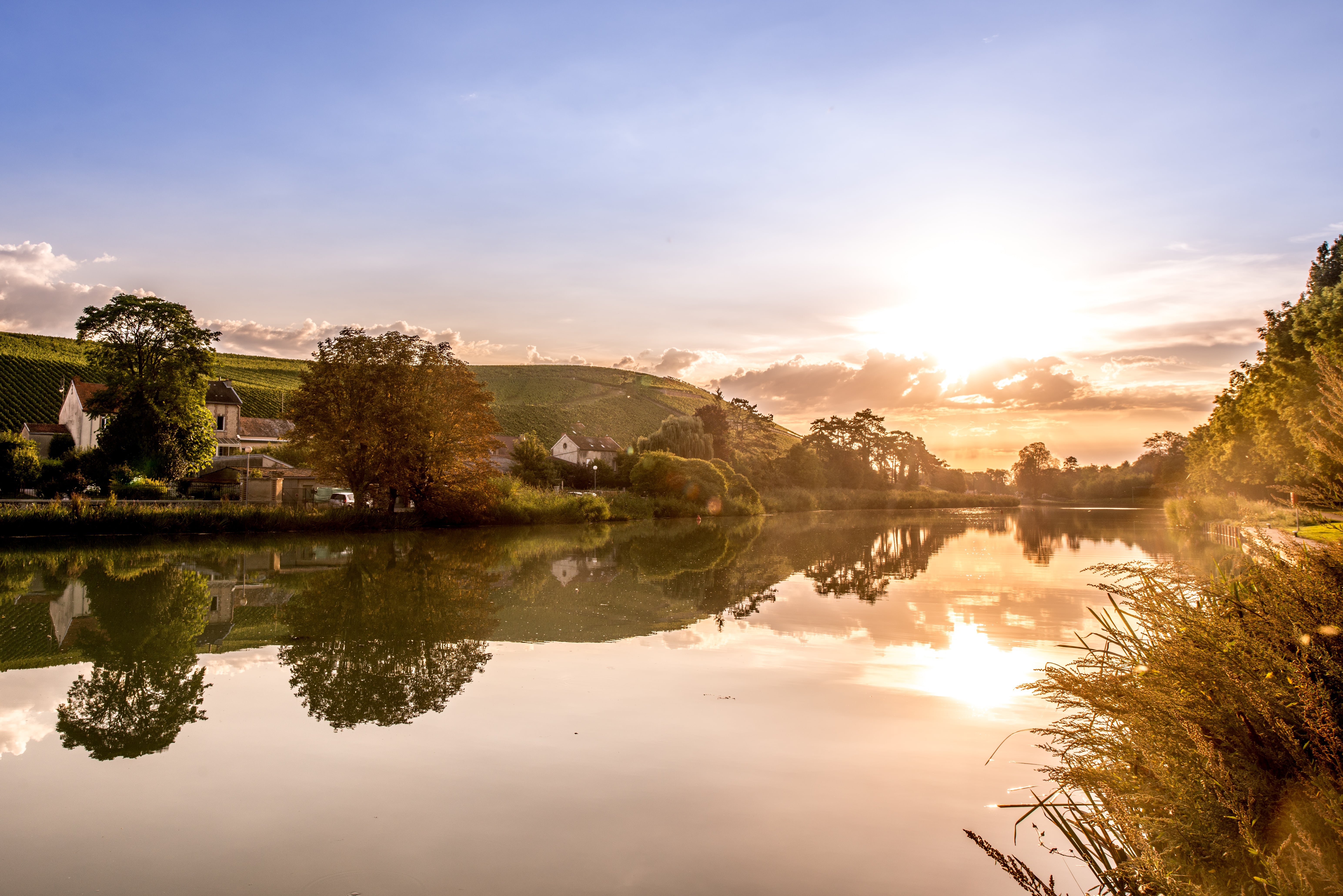 Philipponnat’s Clos des Goisses region