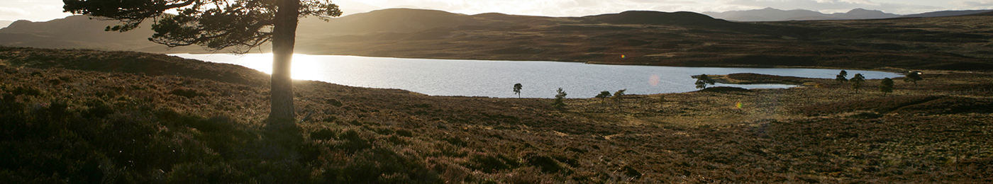 Angus Bremner Photography Glen Ord Distillery