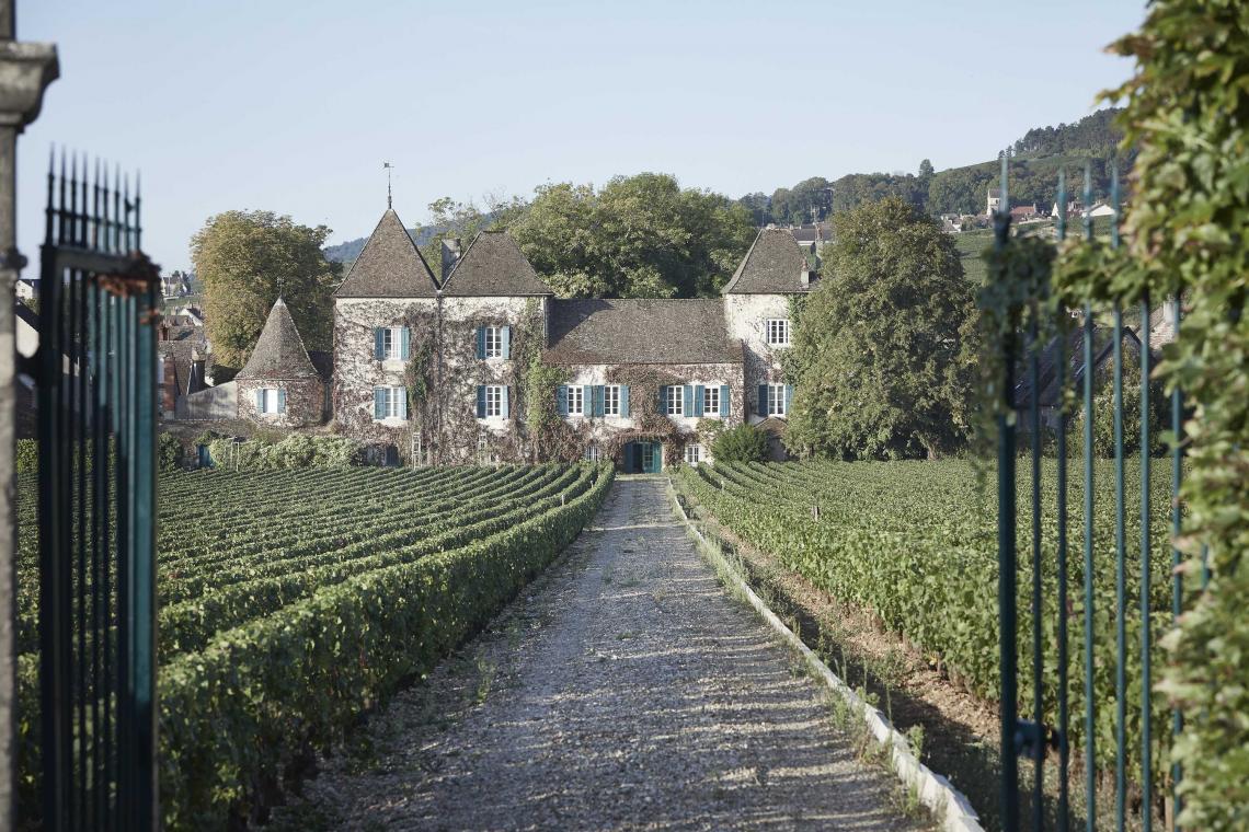 gates leading towards an ornate mansion covered in ivy
