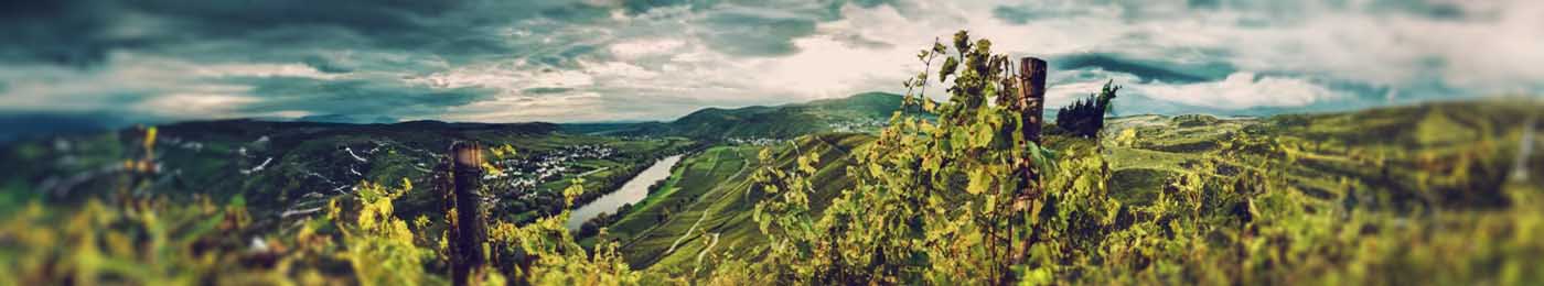 Nature landscape