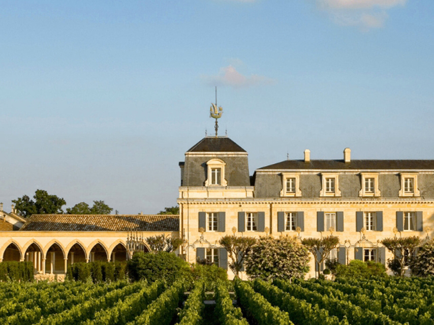vineyards of PESSAC-LEOGNAN