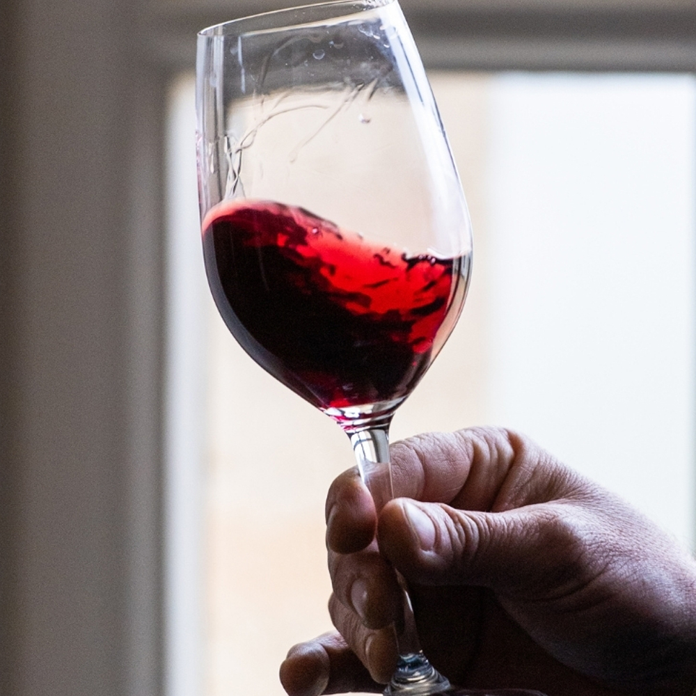 Person holding glass of red wine